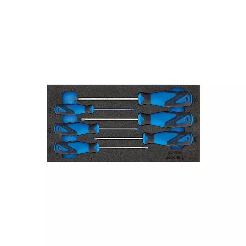 Gedore 2309157 Screwdiver set in 1/3 Check-Tool module