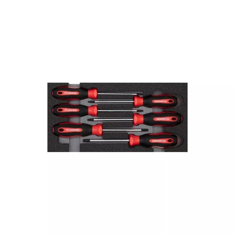 Gedore R22150015 Screwdriver set TX 2/6 CT-module 6pcs