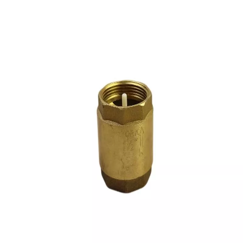 YORK NON-RETURN VALVE BRASS SPRING TYPE 2″