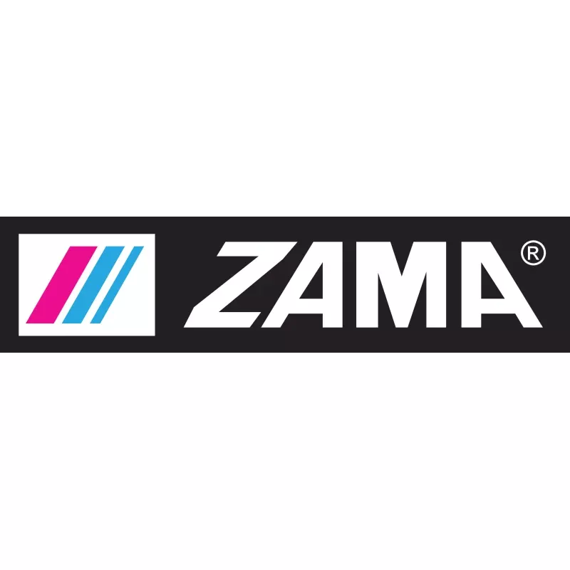 Zama Z0054057 Plunger Return Spring